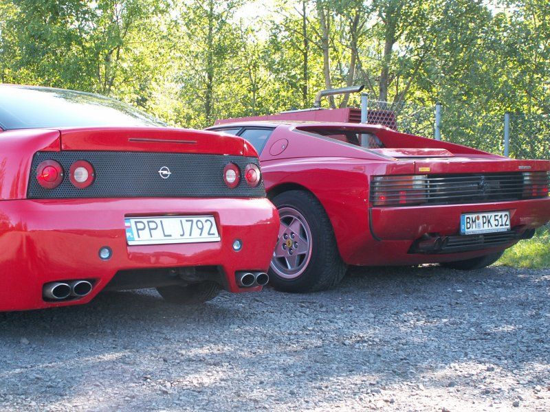 Caibra Magnum & Ferrari